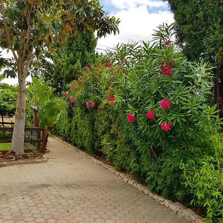 One Bedroom Appartement With Shared Pool And Furnished Terrace At Odiaxere 5 Km Away From The Beach *